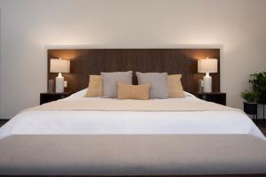 Hermosa villa de 3 habitaciones en el corazón de San Miguel de Allende, Casa Suspiros