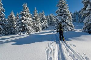 Maisons de vacances GITE DES 3 JONQUILLES : photos des chambres