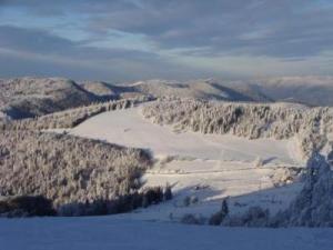 Maisons de vacances GITE DES 3 JONQUILLES : photos des chambres