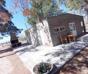 Cabaña Los Pinos - Villa Pituil