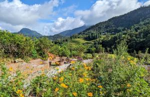 Sapawine Homestay