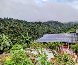 Sapawine Homestay