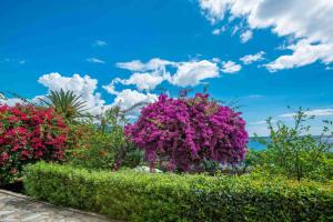 Douka Sea Front Residencies Lakonia Greece