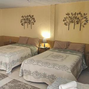 Suites Pozos Mágico