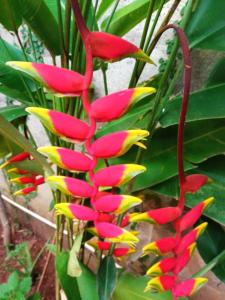 Iwura Resort and Restaurant