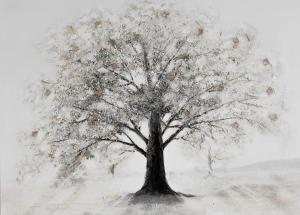 Appartements Tokyo le magnifique T2 : photos des chambres