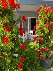 ROSENSUITE La Residenza del rosengarten