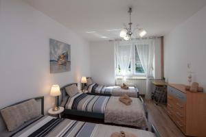 Holiday house with a parking space Daruvar, Bjelovarska - 17937