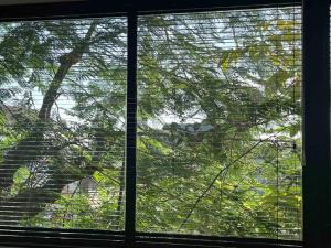 The Drupadi Apartments Studio Peka