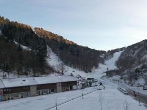 petit nid montagnard