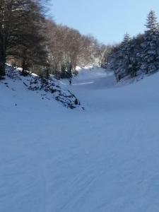 petit nid montagnard