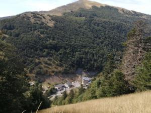 petit nid montagnard