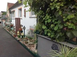 Landpension Villa Dominikus - Johannesberg