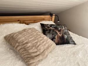 Duplex 3 pièces pour 6 personnes avec balcon, WIFI à LAlpe dHuez - FR-1-405-229