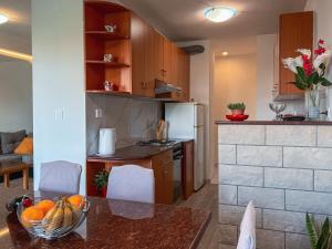 Large apartment FELICITA near center