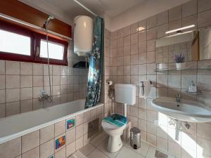 Large apartment FELICITA near center