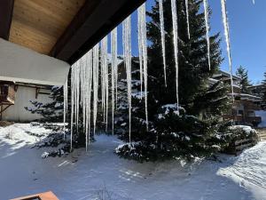 Appartements La Montagne 2 ALPES 12 pers standing skis au pied : photos des chambres