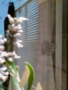 Appartements A l Aube du Midi : photos des chambres