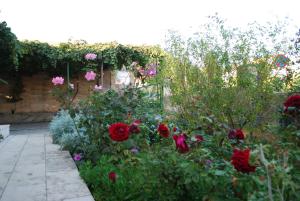 Apartments by the sea Orebic, Peljesac - 10104