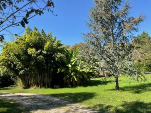 Maisons de vacances LE CLOS DU BENESTAR : photos des chambres