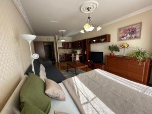 Apartment Julia in the center of Karlovy Vary