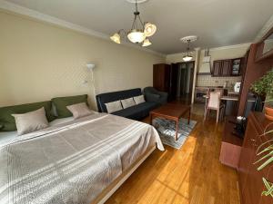 Apartment Julia in the center of Karlovy Vary