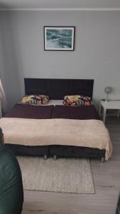 Apartament w centrum