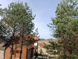 Vila Vodice Zlatibor