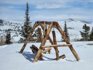 Red-tail Roundhouse at 22 West Cabins and Recreation