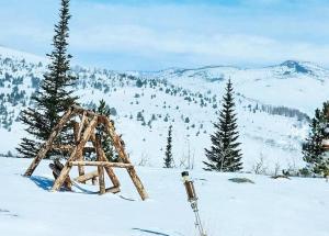 Red-tail Roundhouse at 22 West Cabins and Recreation
