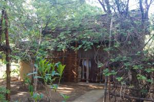 Iharana Bush Camp