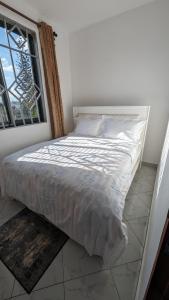 Mufasa city Hostel and Apartments