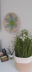 LL Apartament Ronda IV