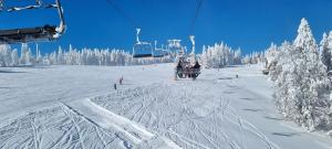 Kope, Jagoda 8 - Studio 2 