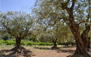 Maisons de vacances Nice Home In Pernes-Les-Fontaines : photos des chambres