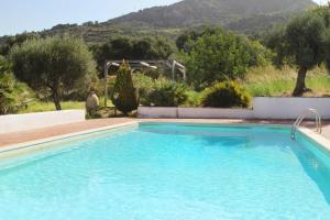 La Gabbianella E Il Gatto