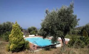 La Gabbianella E Il Gatto - Acquedolci