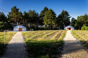 Maisons d'hotes A Ventoux Yourte : photos des chambres