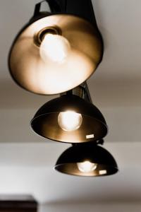 Tokyo le magnifique T2