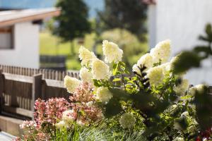 Haus Kristall inkl der SUPER SOMMER CARD im SOMMER 2026