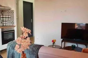 Appartement 40m2 centre de Vichy - Cusset