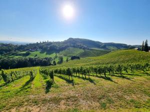 Weinlandzauber An der Lage