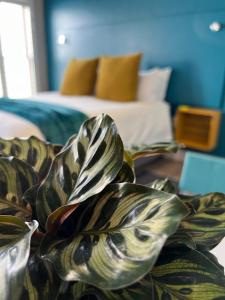 Hermanus Waterfront Apartment no 17