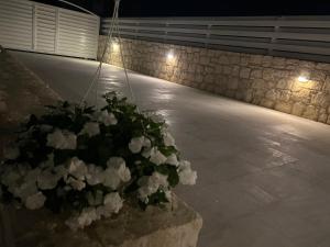 Jomavi Beach Eco-Villa