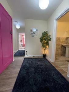 Enormous Family Flat (7 guests)