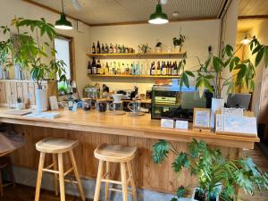 Goto Backpackers Pole