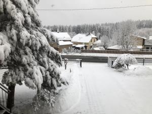 Ferienwohnung Zur Geigenbachtalsperre