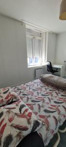 Appartements Maison a Lille 66 m2 avec 2 chambres : photos des chambres