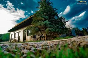 Casa Kaf - Strungari