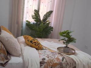 Apartamentos Jara Bajo C